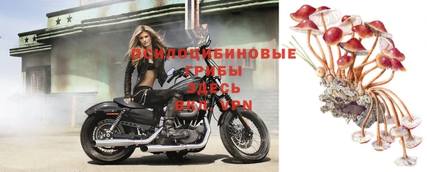 a pvp Абинск