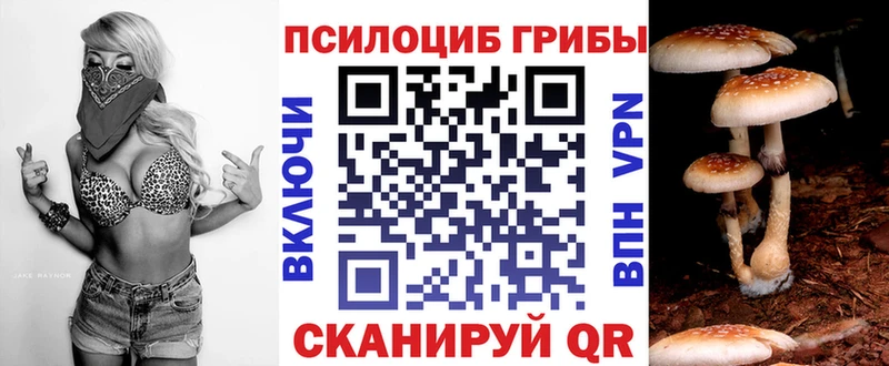 Псилоцибиновые грибы мицелий  Зубцов 