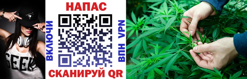 Конопля SATIVA & INDICA  Зубцов 